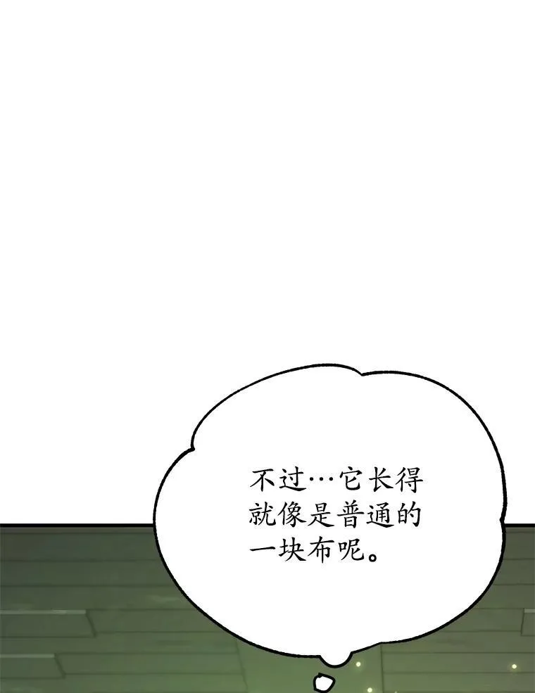 68.巴西拉斯 第74页