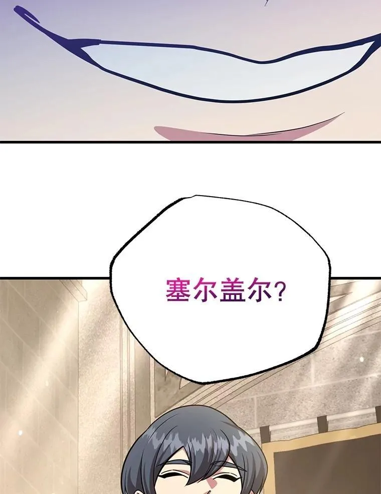 70.塞尔盖尔 第11页