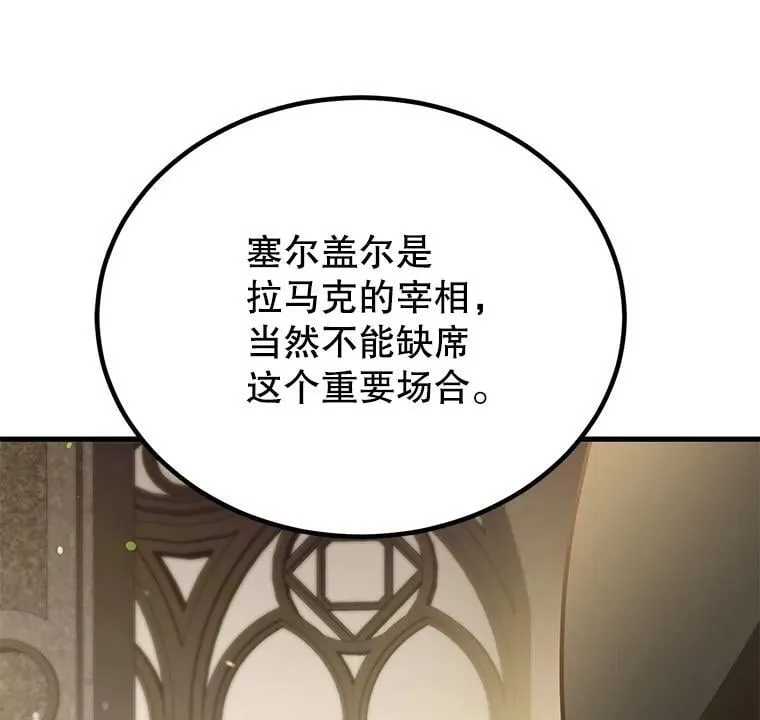 70.塞尔盖尔 第16页