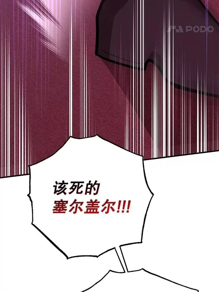 70.塞尔盖尔 第52页