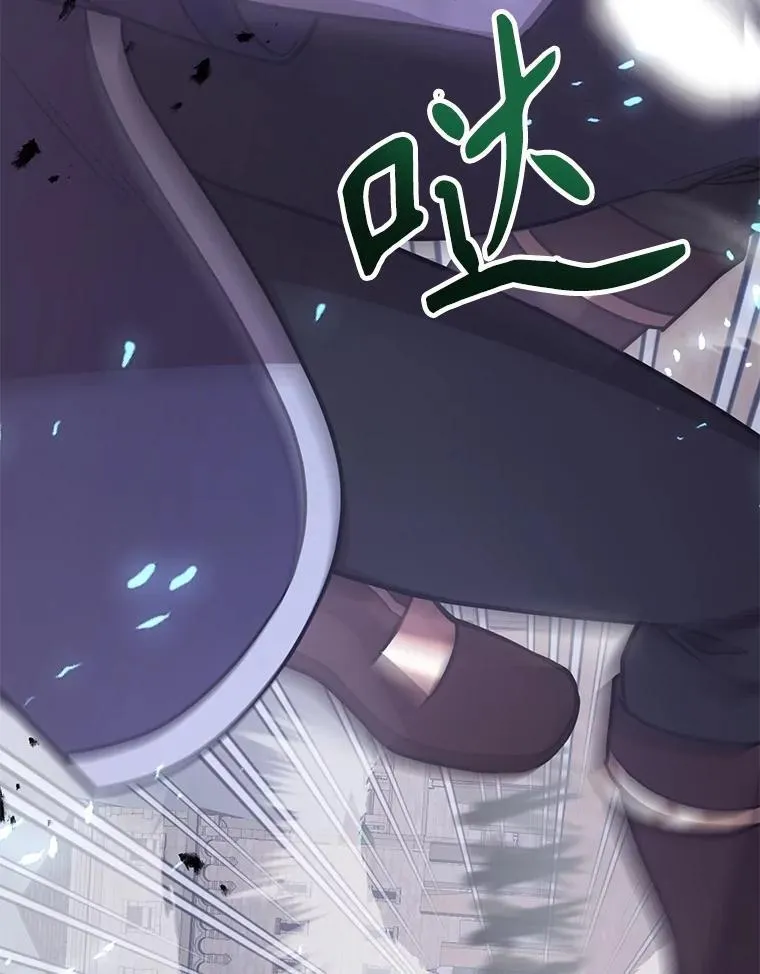 74.溃败的银狮 第13页