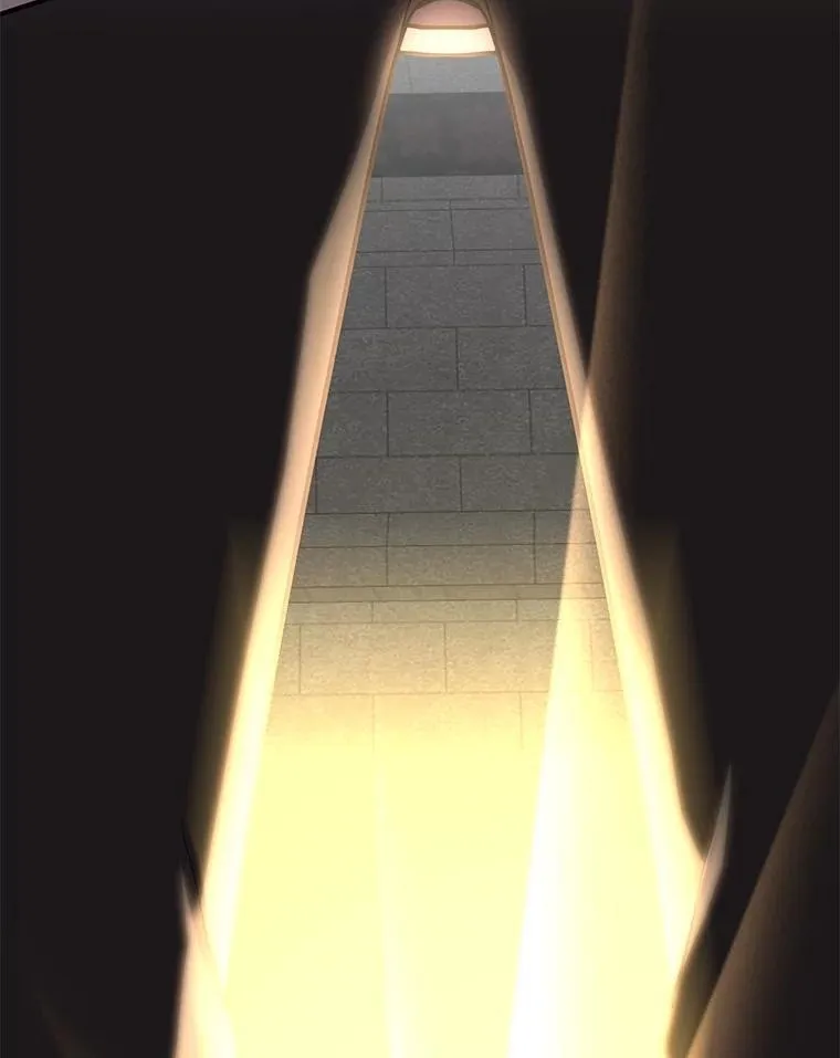 82.二级权限 第126页