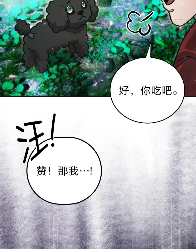 40.辛勤工作喂狗狗 第14页