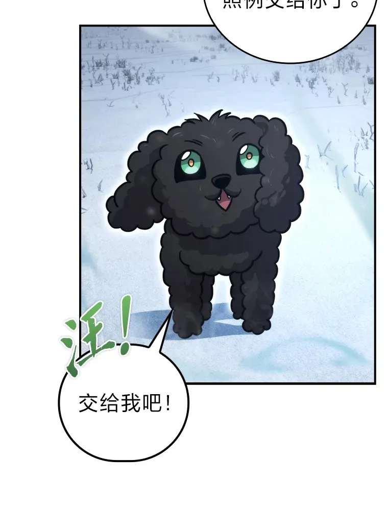 41.风头正盛新猎人 第66页