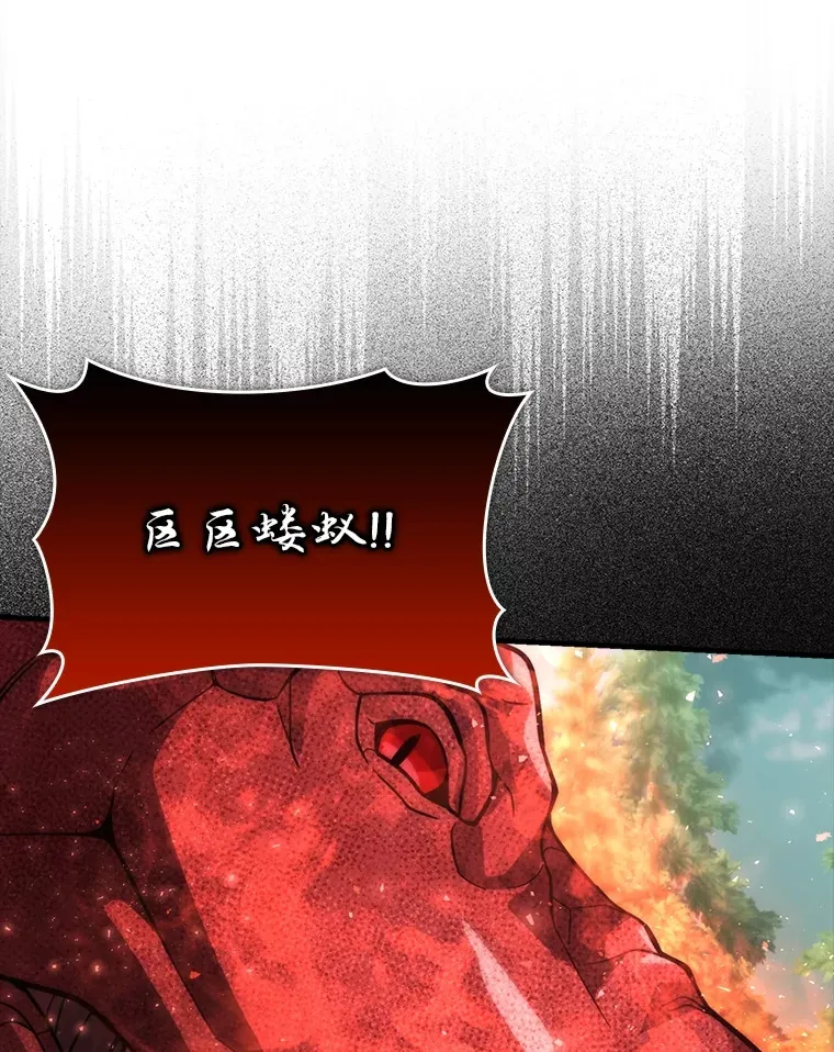 58.攻打首领怪副本 第113页