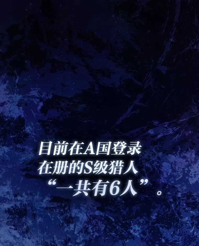 85.S级资格审核 第13页
