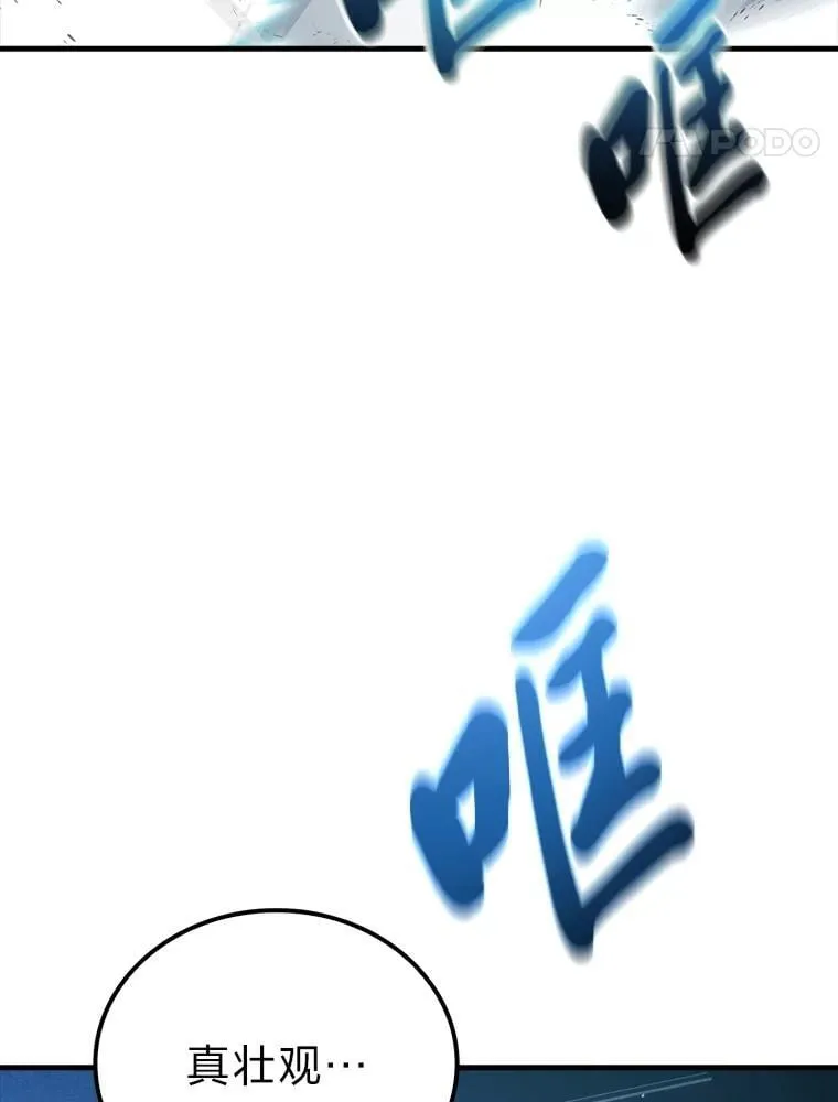 85.S级资格审核 第66页