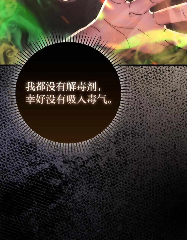 102.涅墨西斯完全体 第95页