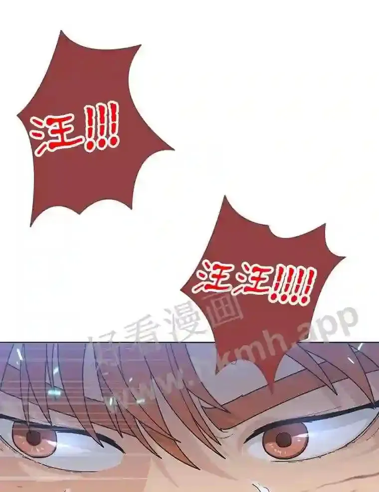 1.斗犬场 第150页