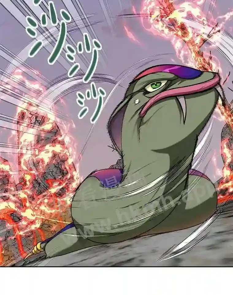 22.火甲龙 第3页