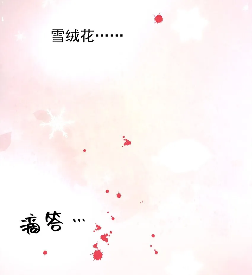 33雪绒花 第15页