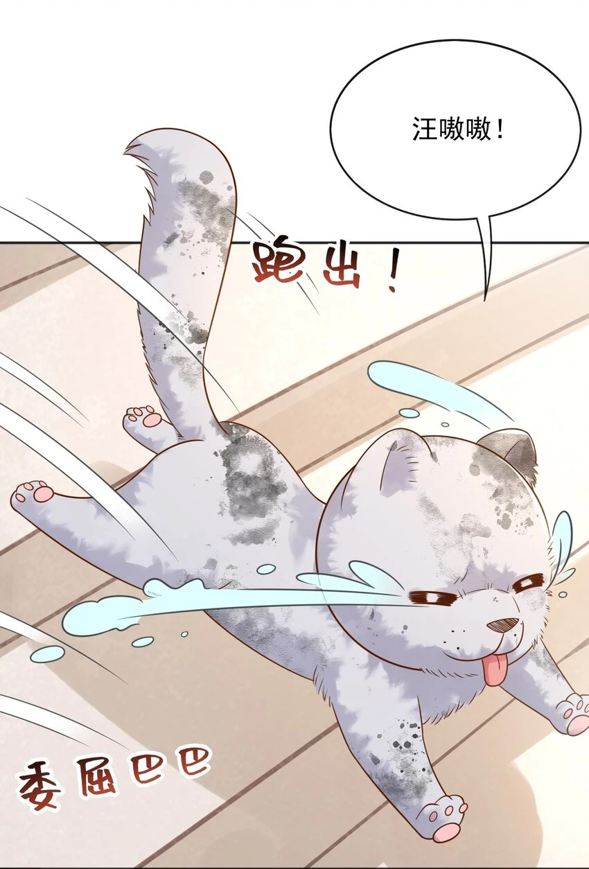 45试验成功 第36页