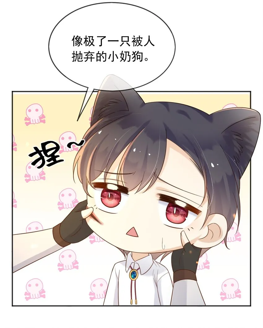 61 第30页