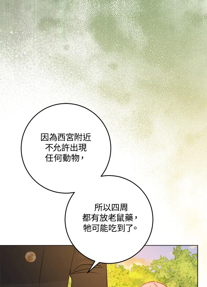 第31话 第31页