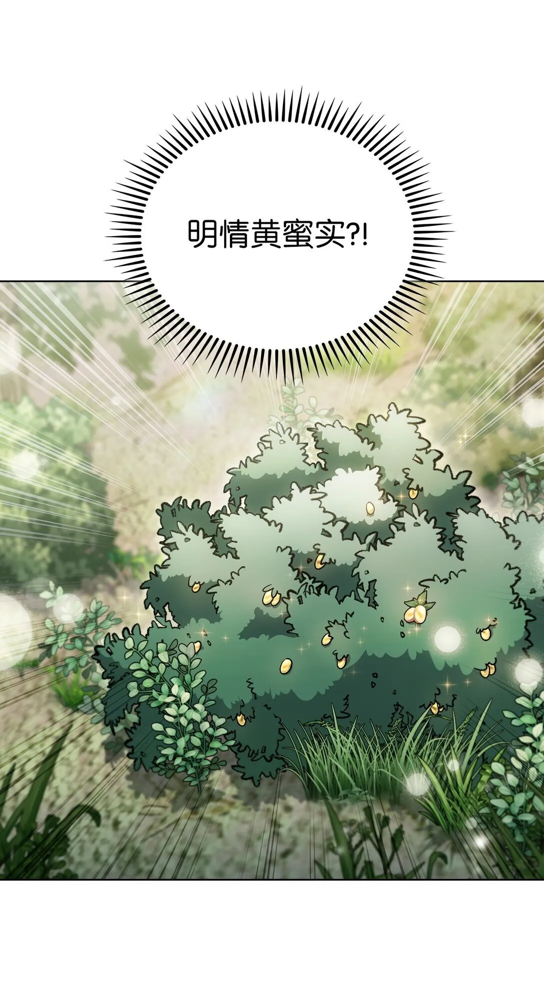 041 度假村 第53页