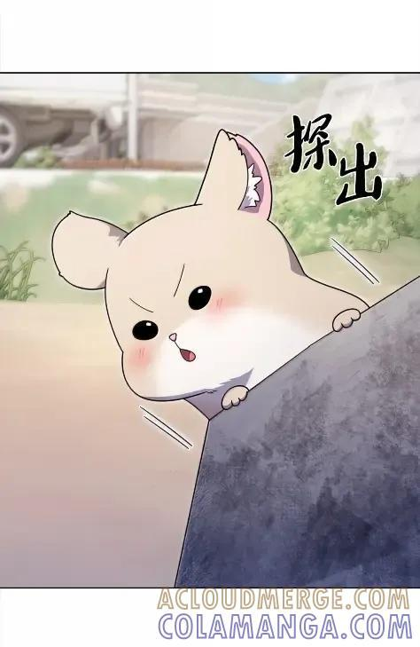 086 挖红薯 第25页