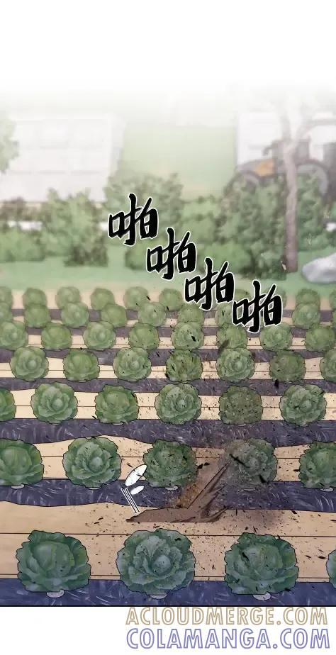 087 大麻烦出现 第31页