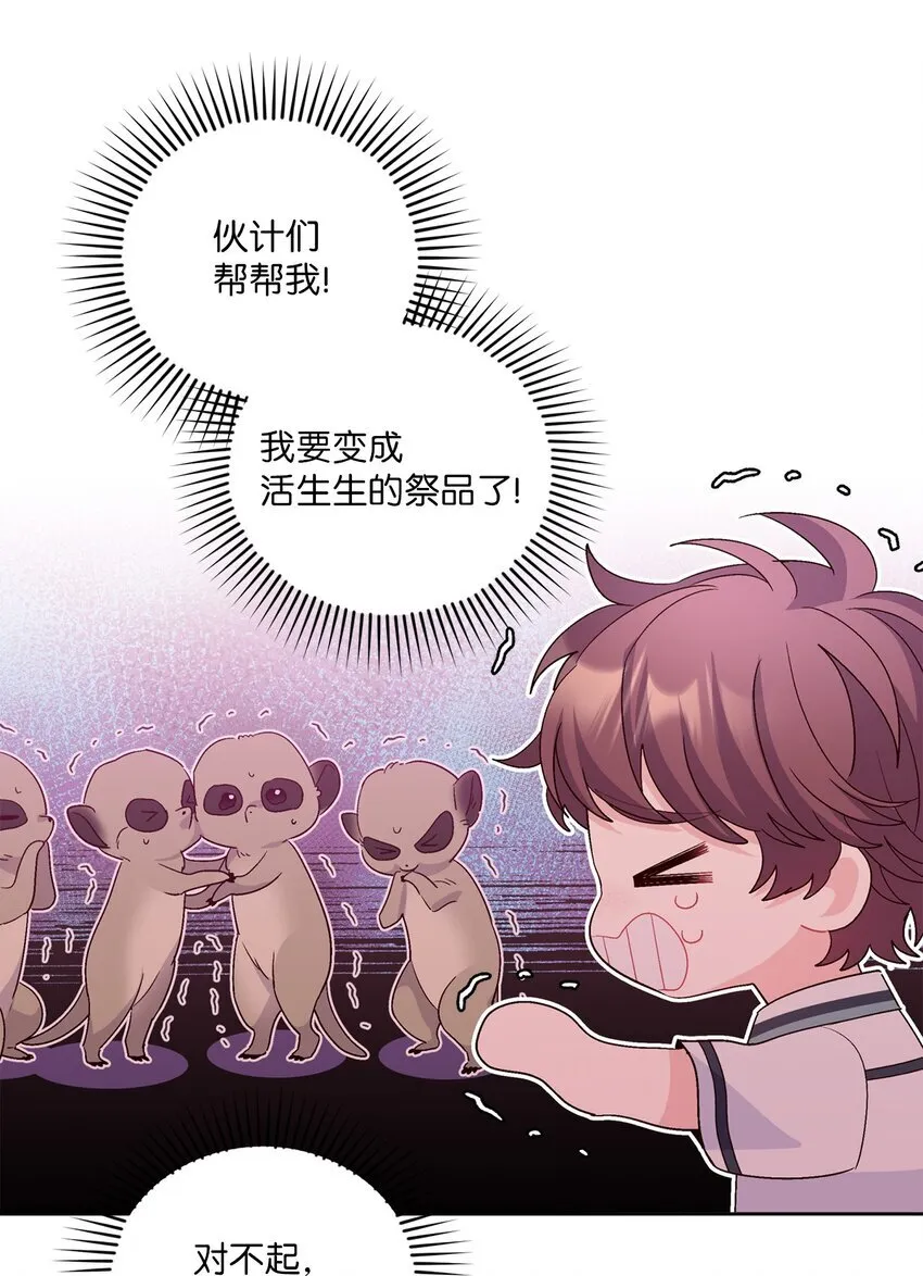 56 努力的魏礼 第41页