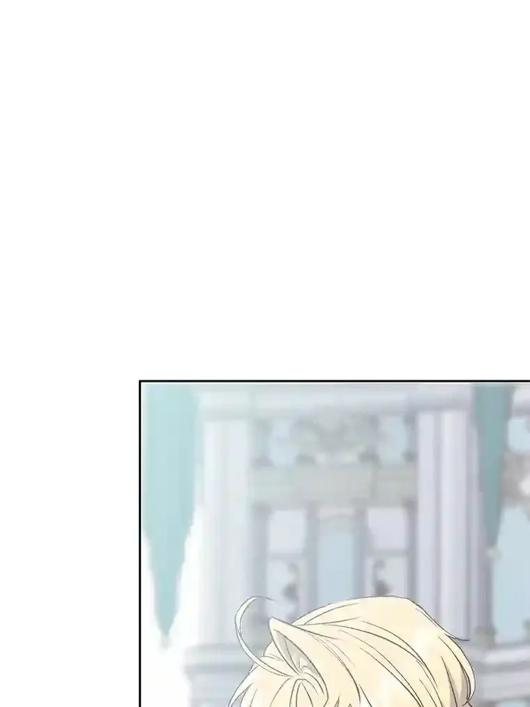 6.提议 第96页