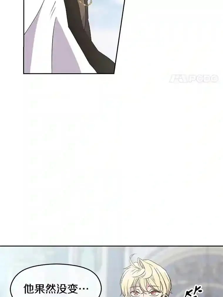 6.提议 第104页