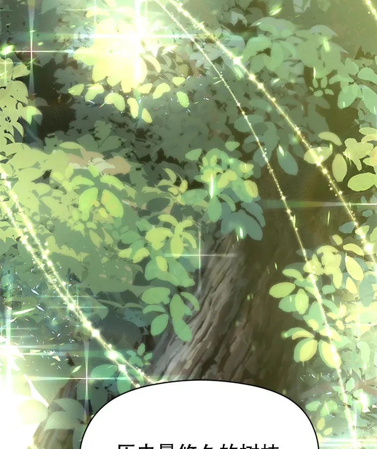 38.世界树 第89页