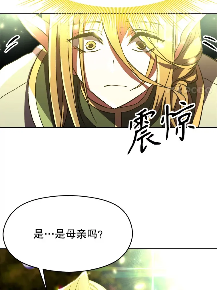 39.面见精灵王 第11页