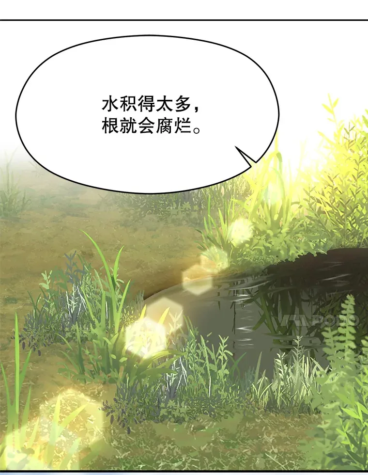 46.抵达教国 第24页