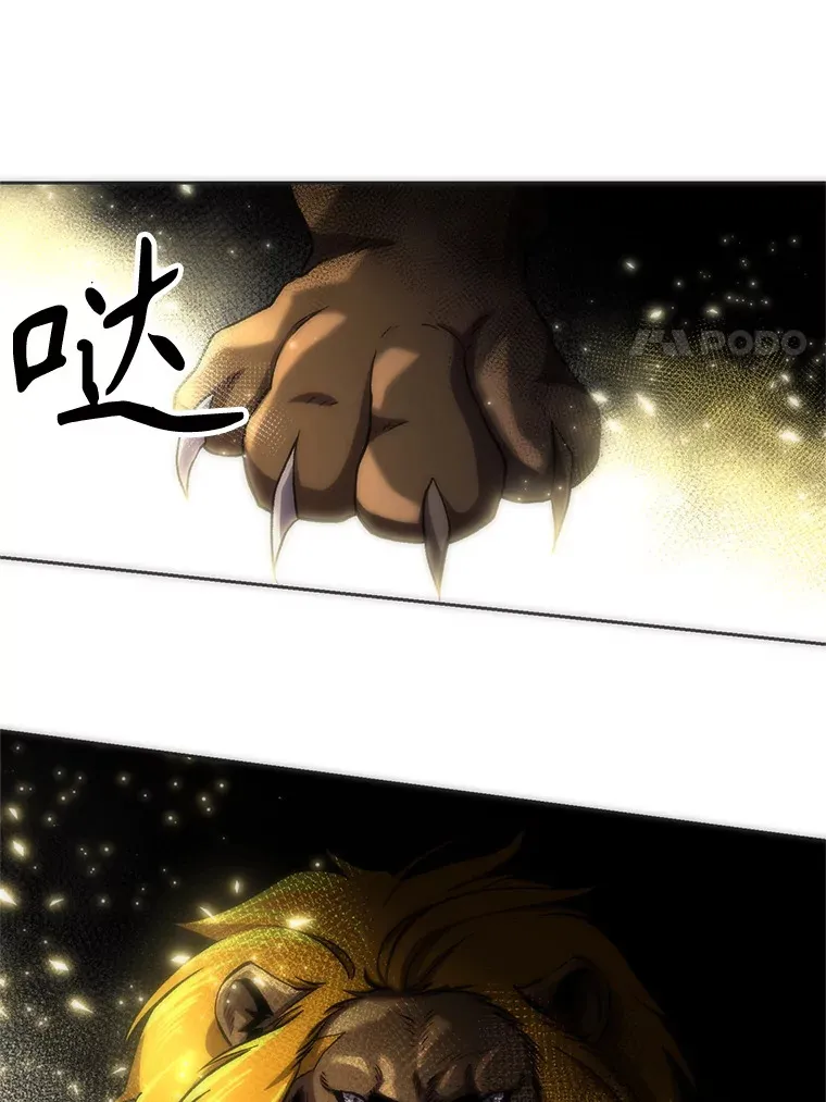 48.勇士候选人 第11页