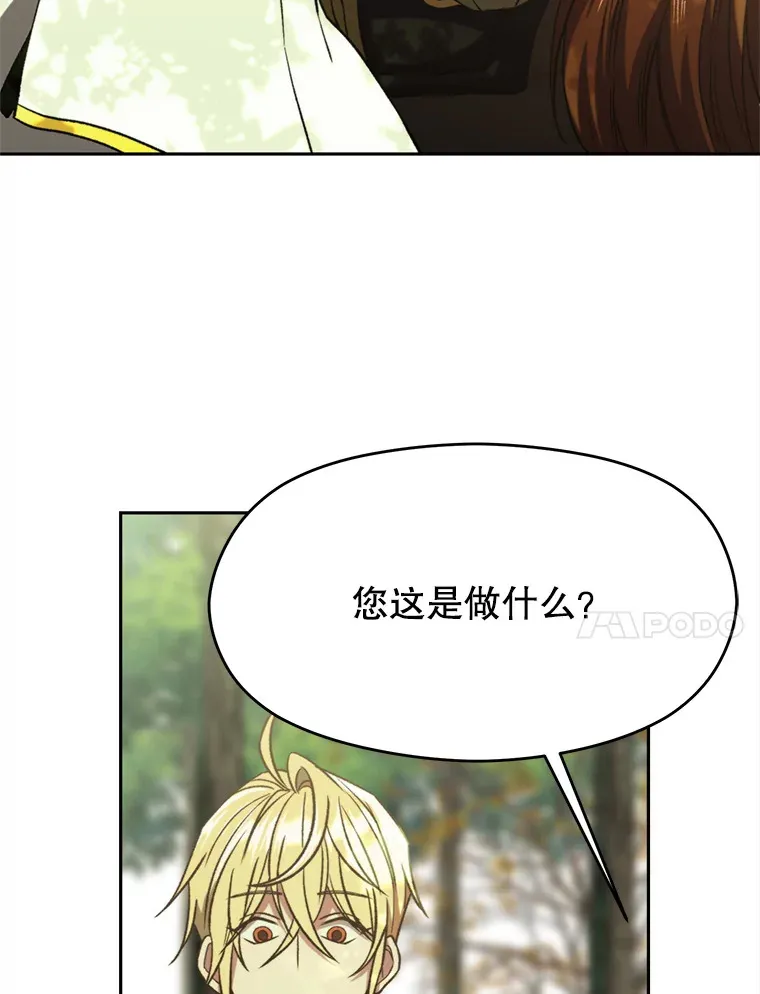 75.打赌 第41页