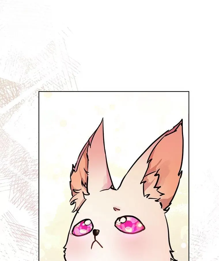 3.魔法师 第54页
