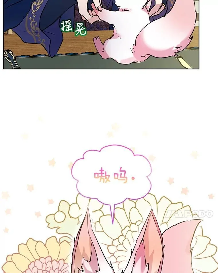 6.佩伊兰 第17页