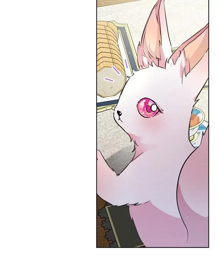6.佩伊兰 第23页