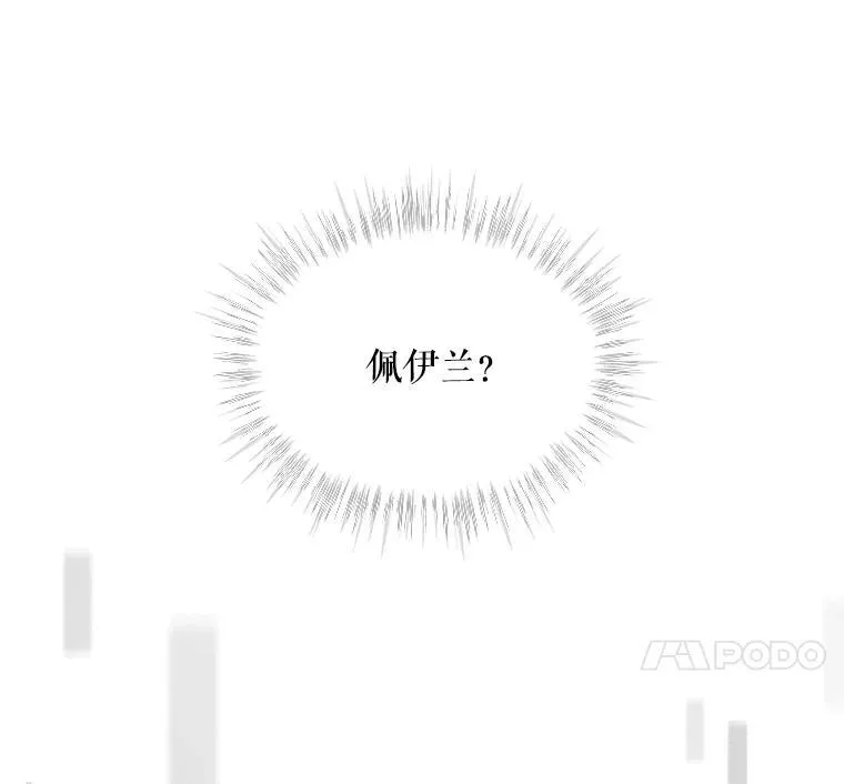 6.佩伊兰 第24页