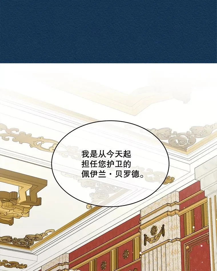 6.佩伊兰 第41页