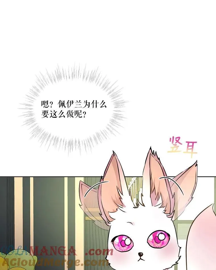 6.佩伊兰 第88页