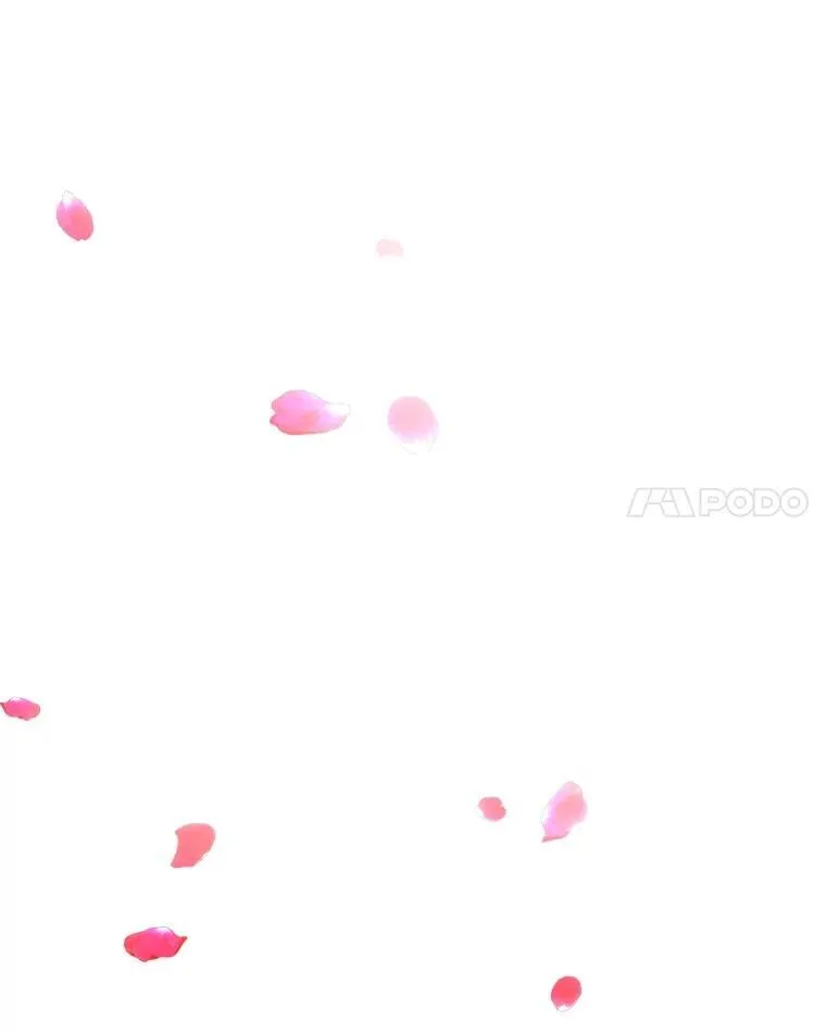 17.塞里亚到来 第46页