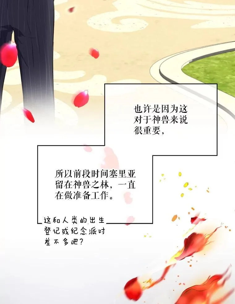 17.塞里亚到来 第51页