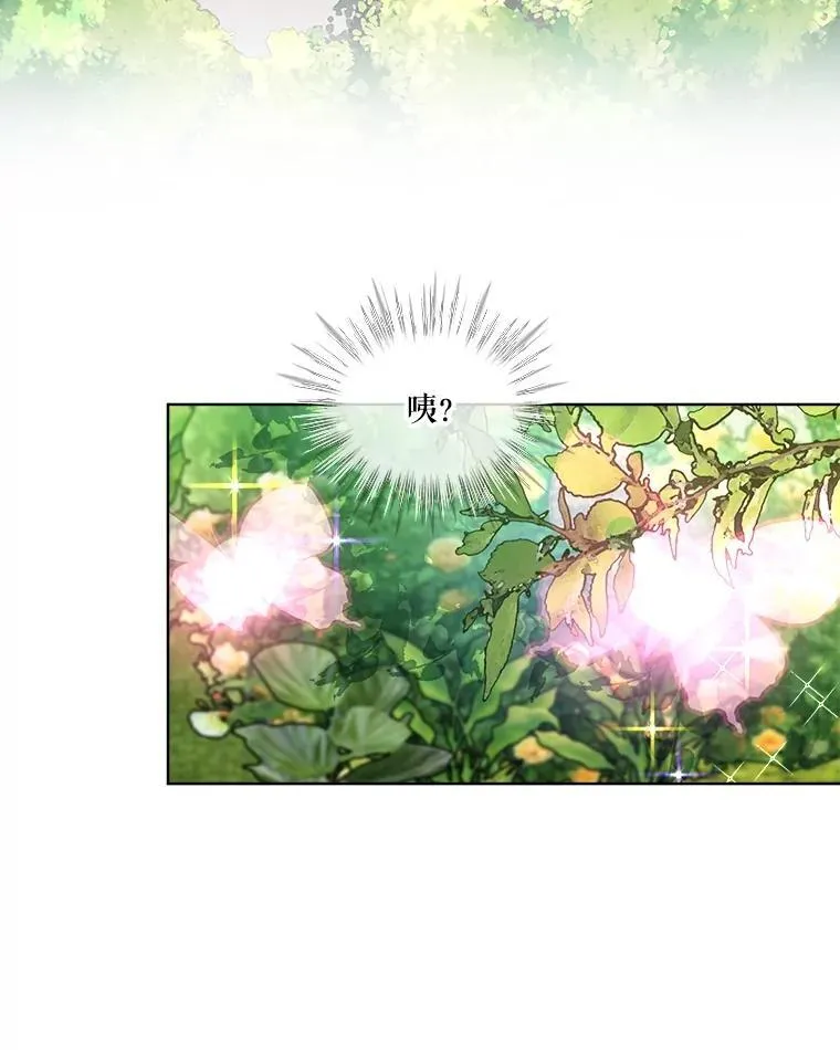 25.精灵 第39页