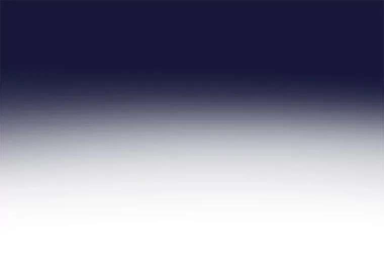 26.教皇 第96页