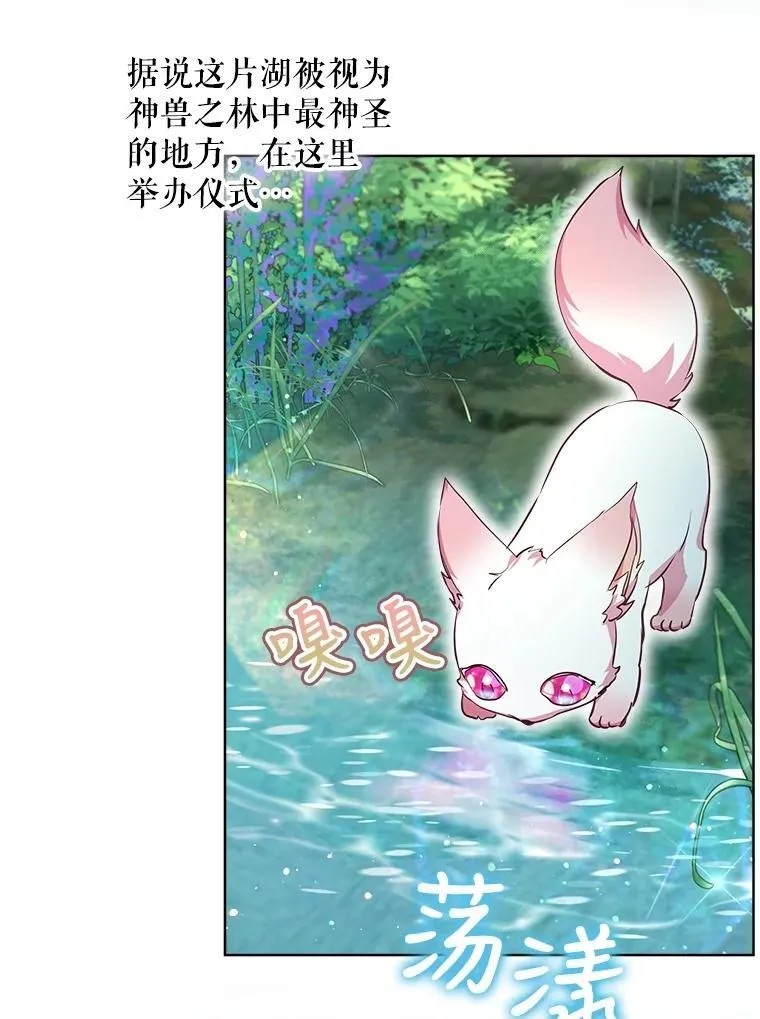 30.控制道具 第55页