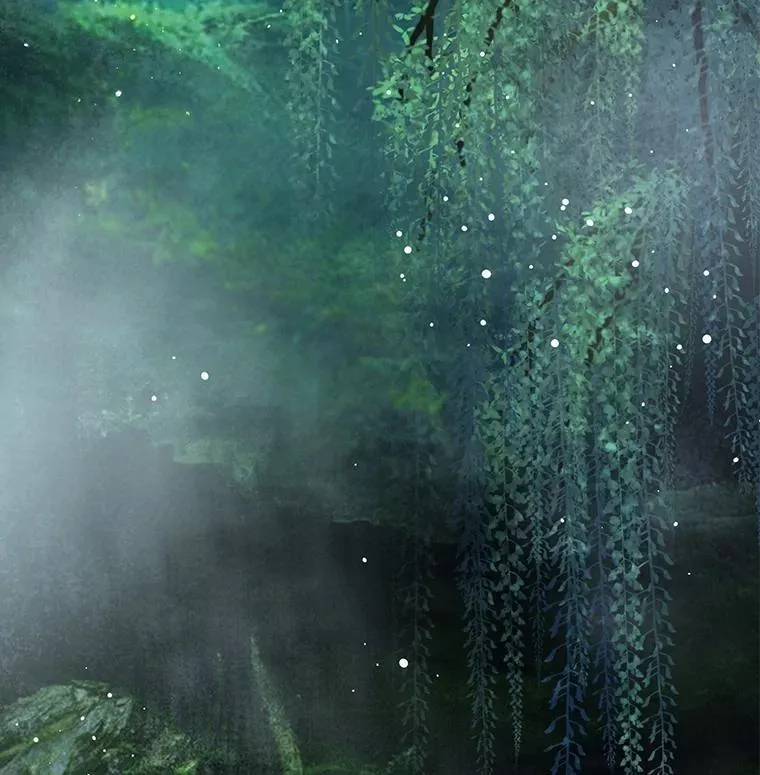 33.巴希拉 第10页