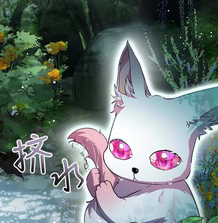 33.巴希拉 第11页