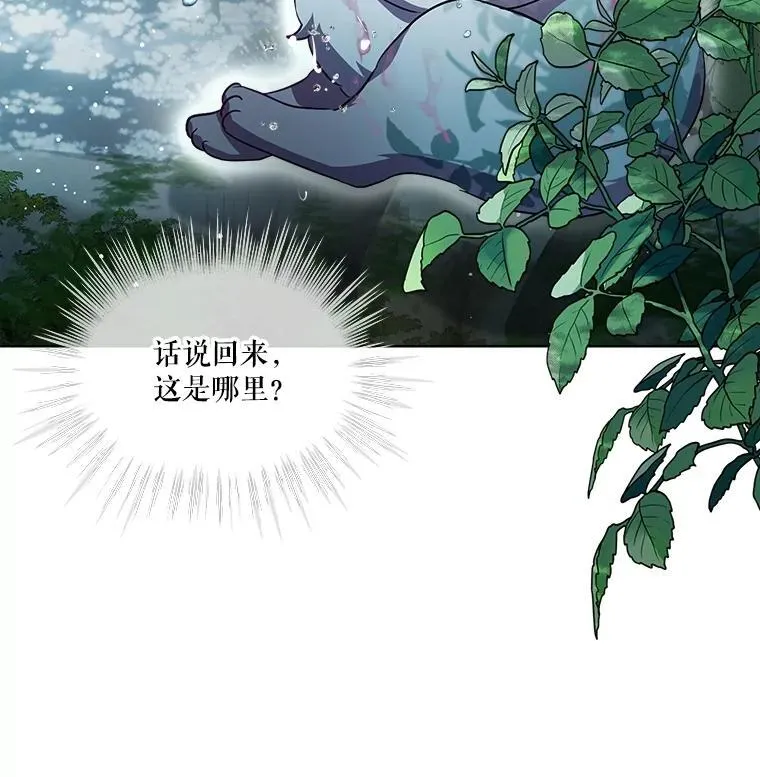 33.巴希拉 第12页