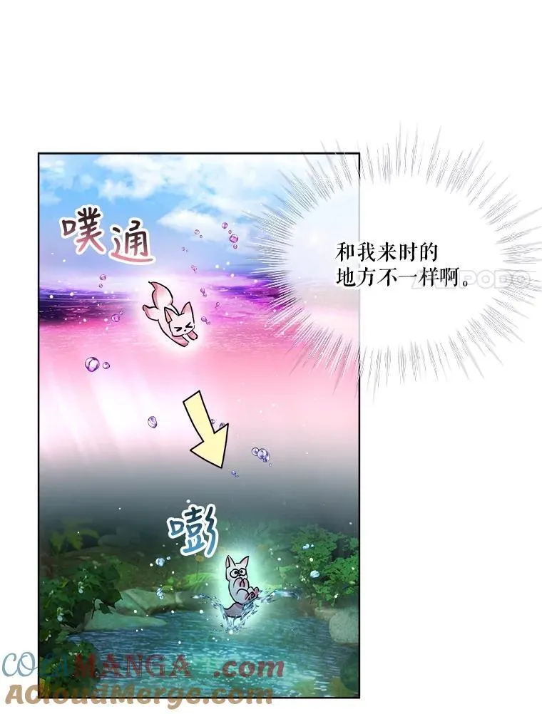 33.巴希拉 第13页