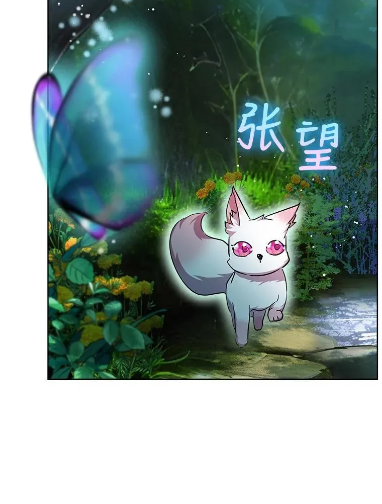 33.巴希拉 第15页
