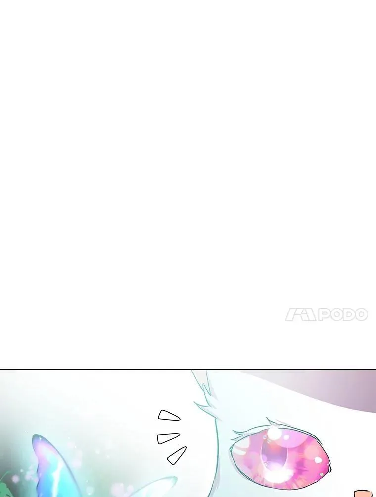 33.巴希拉 第16页