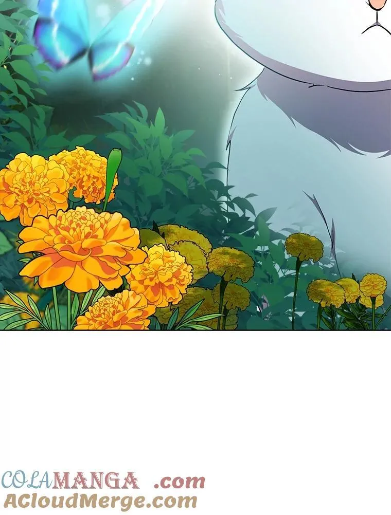 33.巴希拉 第17页