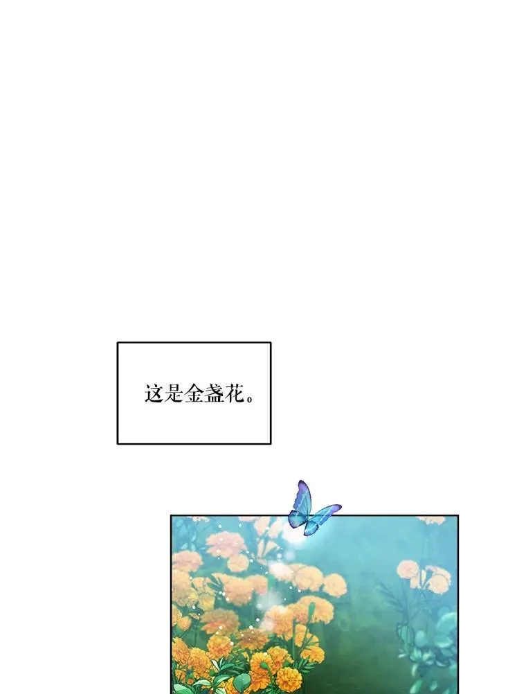 33.巴希拉 第18页