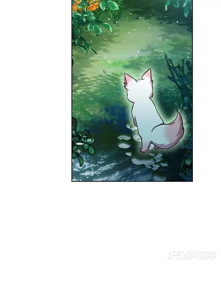 33.巴希拉 第19页