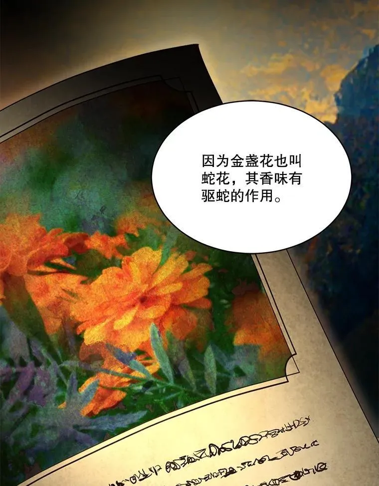 33.巴希拉 第28页